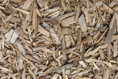 biomass boilers Darowen