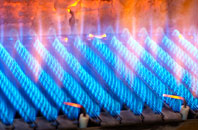 Darowen gas fired boilers